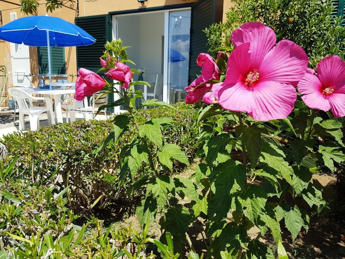 Apartament Blue Diamond Parghelia Zewnętrze zdjęcie
